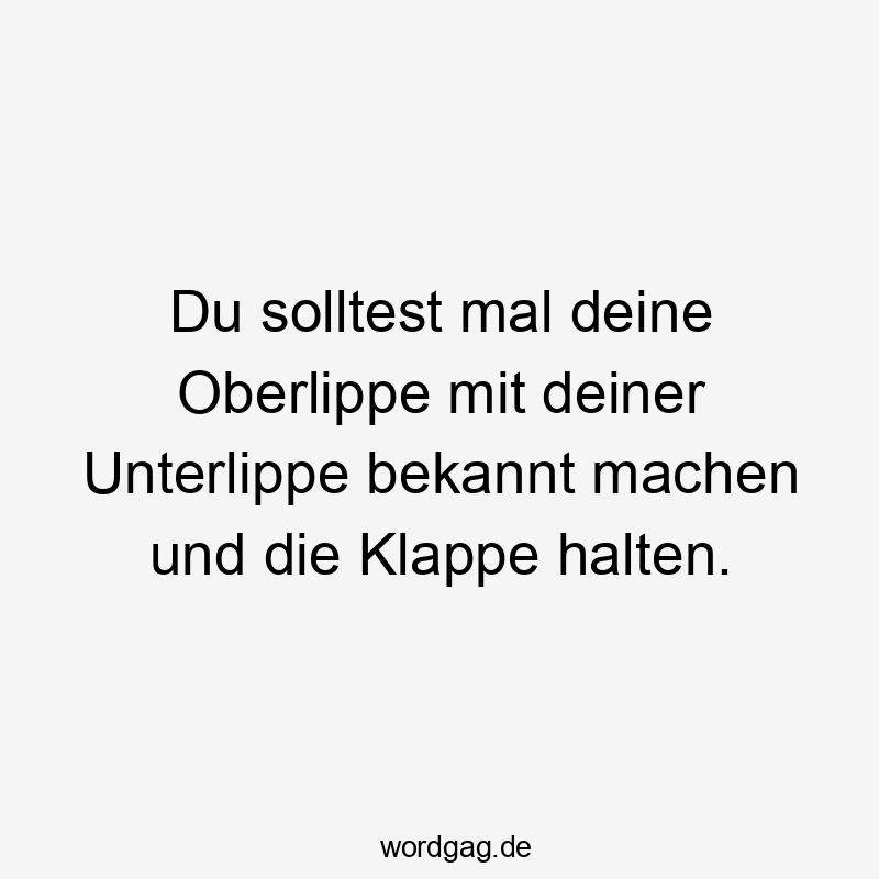 Du solltest mal deine Oberlippe mit deiner Unterlippe bekannt machen und die Klappe halten.