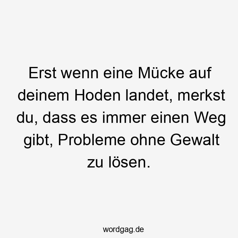 Lustige Sprüche: lösen - Erst wenn eine Mücke auf deinem Hoden landet, merkst du, dass es immer einen Weg gibt, Probleme ohne Gewalt zu lösen.