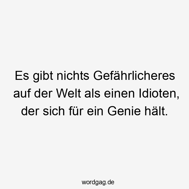 Lustige Sprüche: Welt - Es gibt nichts Gefährlicheres auf der Welt als einen Idioten, der sich für ein Genie hält.