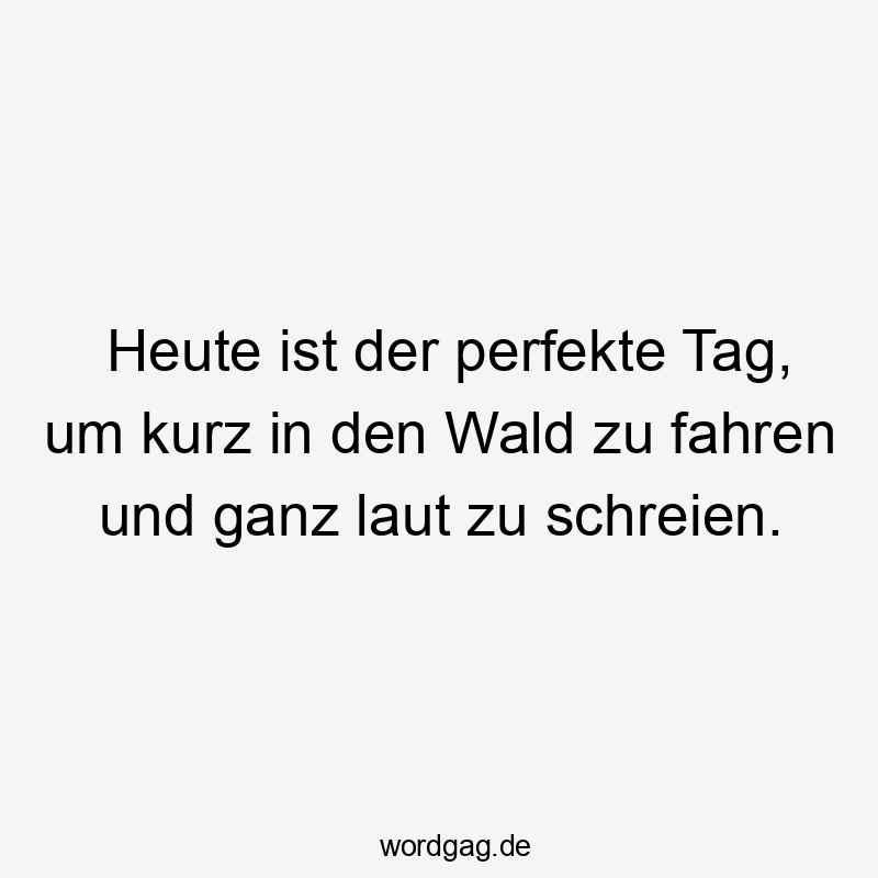 Heute ist der perfekte Tag, um kurz in den Wald zu fahren und ganz laut zu schreien.