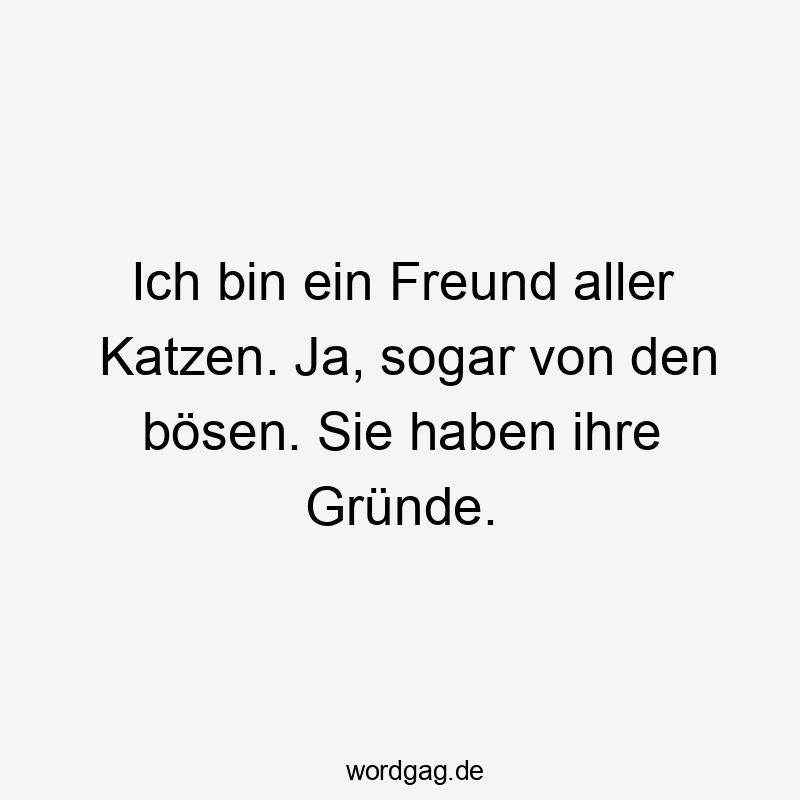 Ich bin ein Freund aller Katzen. Ja, sogar von den bösen. Sie haben ihre Gründe.