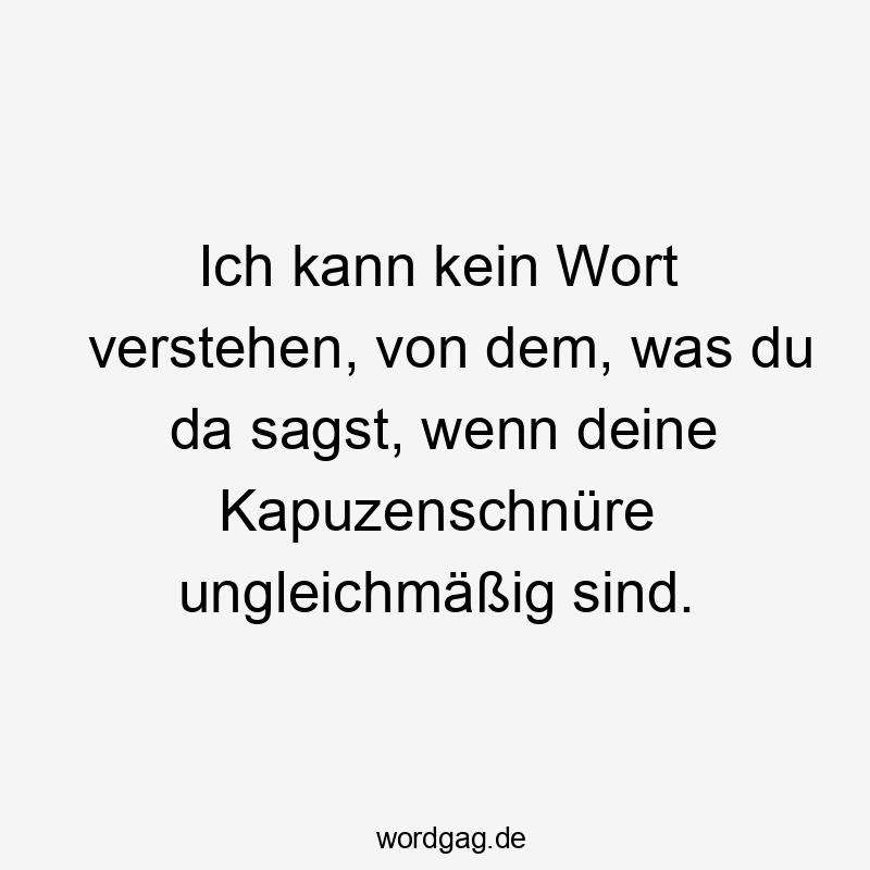 Lustige Sprüche: Wort - Ich kann kein Wort verstehen, von dem, was du da sagst, wenn deine Kapuzenschnüre ungleichmäßig sind.