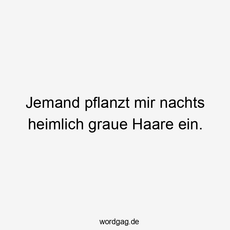 Lustige Sprüche: Pflanzen - Jemand pflanzt mir nachts heimlich graue Haare ein.