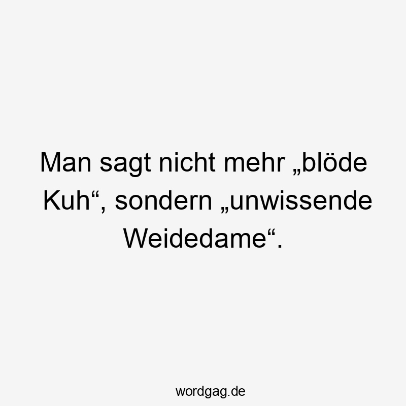 Lustige Sprüche: Sprache - Man sagt nicht mehr „blöde Kuh“, sondern „unwissende Weidedame“.