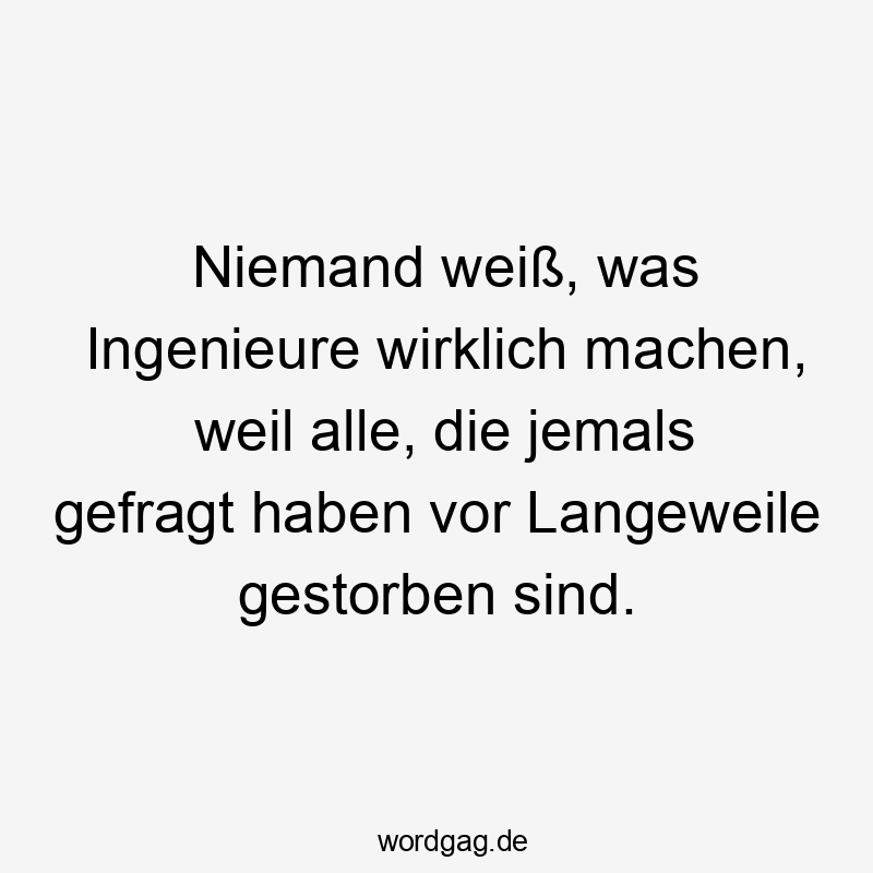 Lustige Sprüche: Fragen - Niemand weiß, was Ingenieure wirklich machen, weil alle, die jemals gefragt haben vor Langeweile gestorben sind.