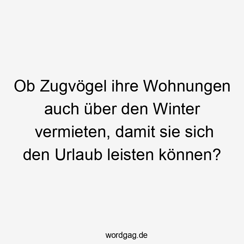Ob Zugvögel ihre Wohnungen auch über den Winter vermieten, damit sie sich den Urlaub leisten können?