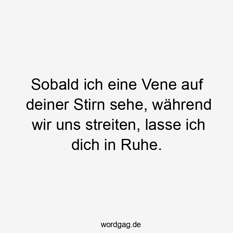 Lustige Sprüche: Streit - Sobald ich eine Vene auf deiner Stirn sehe, während wir uns streiten, lasse ich dich in Ruhe.