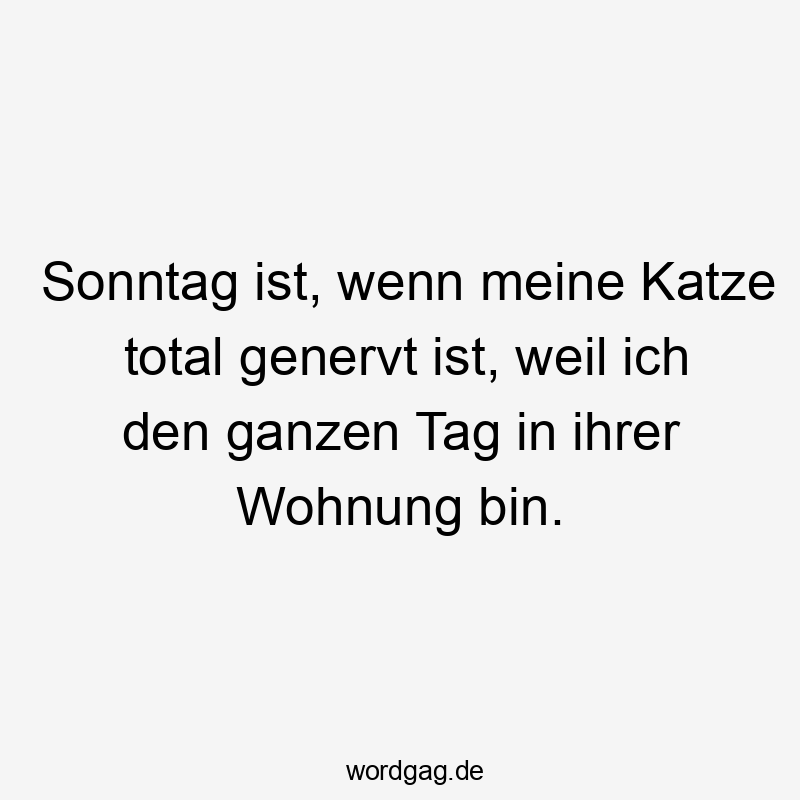 Sonntag ist, wenn meine Katze total genervt ist, weil ich den ganzen Tag in ihrer Wohnung bin.
