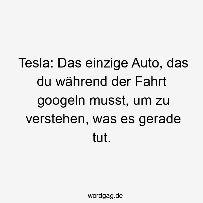 Tesla: Das einzige Auto, das du während der Fahrt googeln musst, um zu verstehen, was es gerade tut.