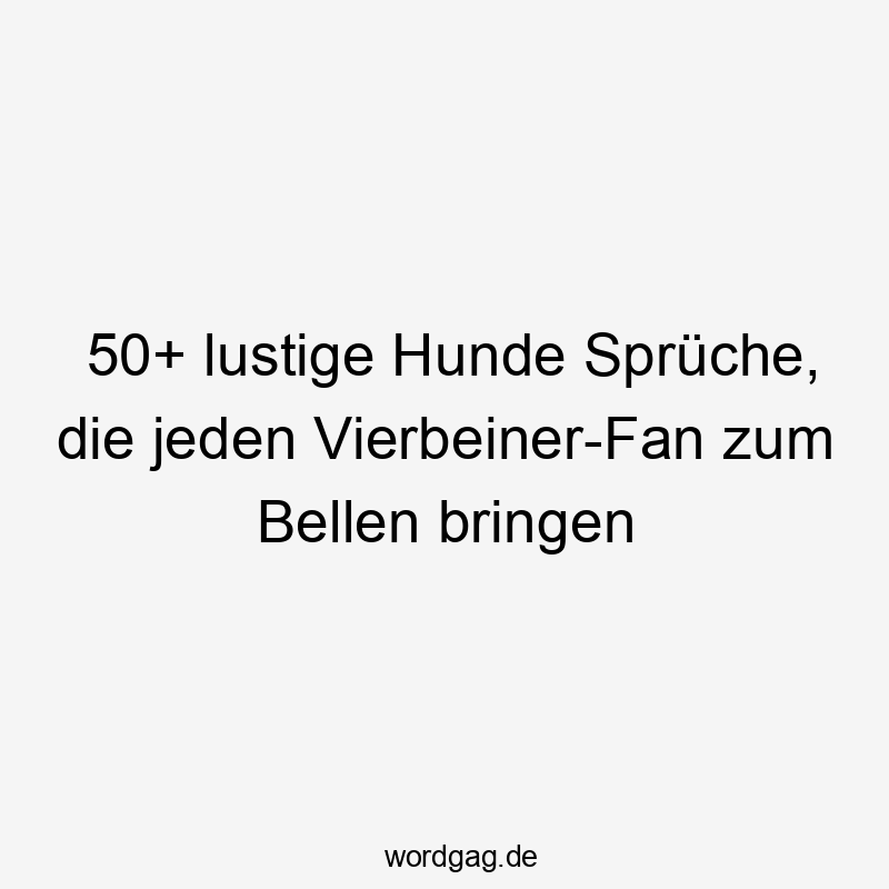 50+ lustige Hunde Sprüche, die jeden Vierbeiner-Fan zum Bellen bringen