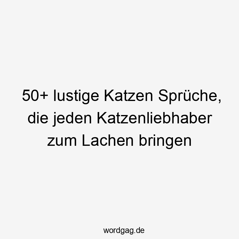 50+ lustige Katzen Sprüche, die jeden Katzenliebhaber zum Lachen bringen