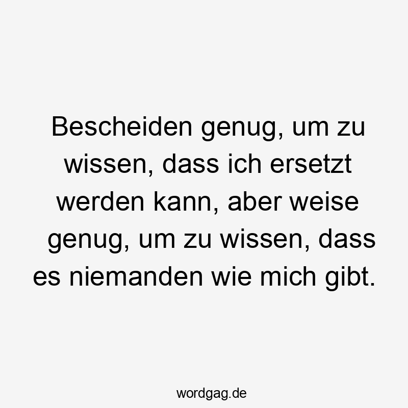 Bescheiden genug, um zu wissen, dass ich ersetzt werden kann, aber weise genug, um zu wissen, dass es niemanden wie mich gibt.