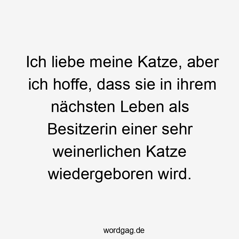 Ich liebe meine Katze, aber ich hoffe, dass sie in ihrem nächsten Leben als Besitzerin einer sehr weinerlichen Katze wiedergeboren wird.