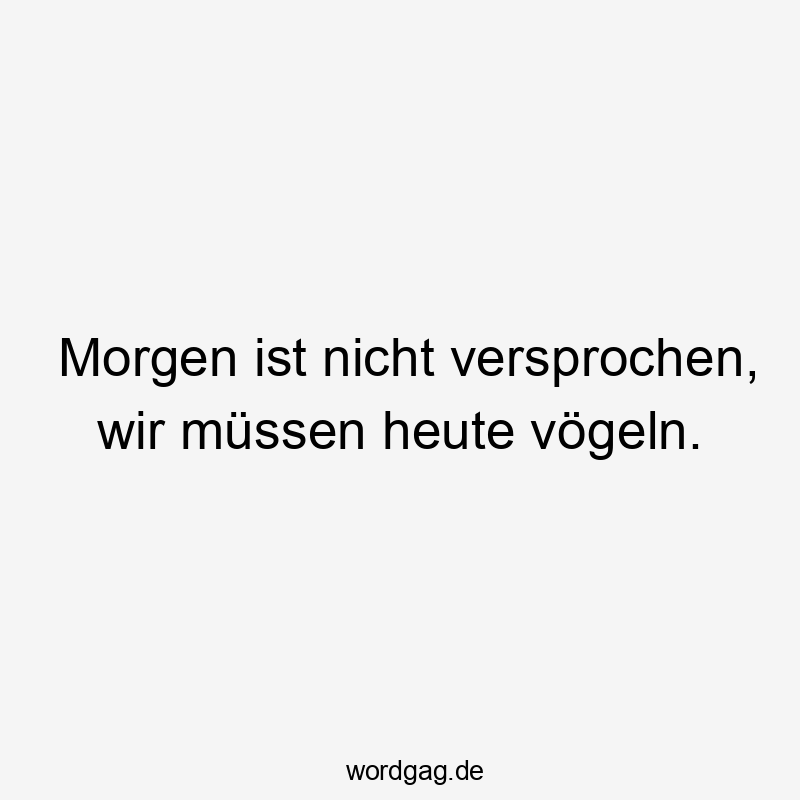 Morgen ist nicht versprochen, wir müssen heute vögeln.