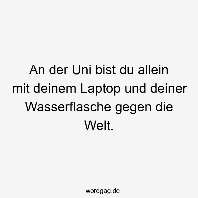 Lustige Sprüche: Studium - An der Uni bist du allein mit deinem Laptop und deiner Wasserflasche gegen die Welt.