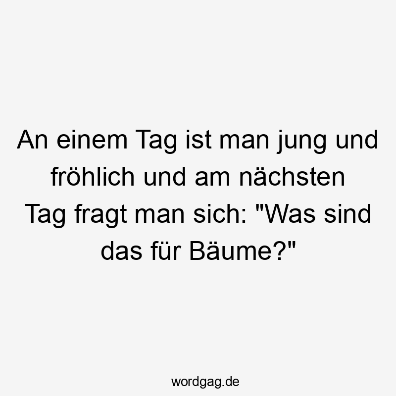 An einem Tag ist man jung und fröhlich und am nächsten Tag fragt man sich: „Was sind das für Bäume?“