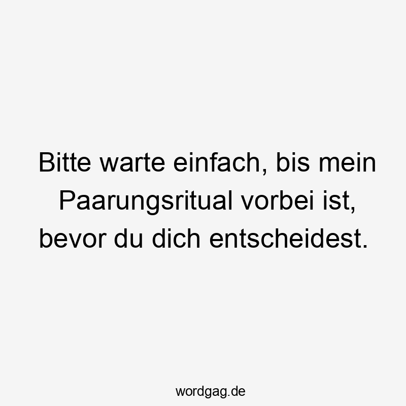 Bitte warte einfach, bis mein Paarungsritual vorbei ist, bevor du dich entscheidest.