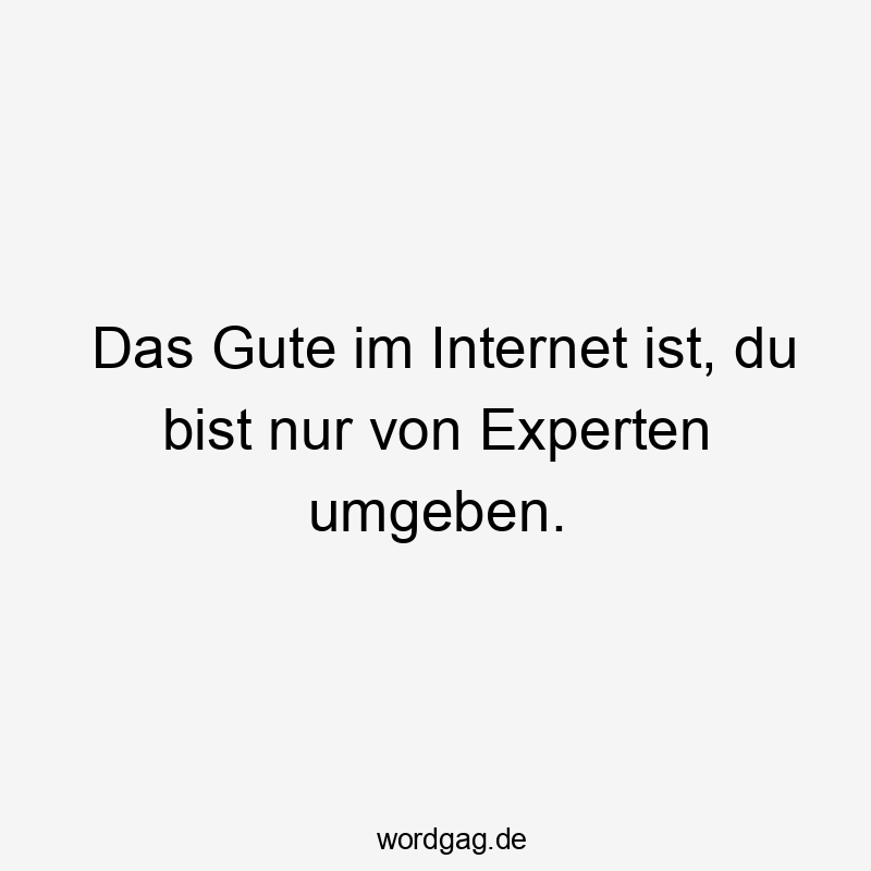Das Gute im Internet ist, du bist nur von Experten umgeben.