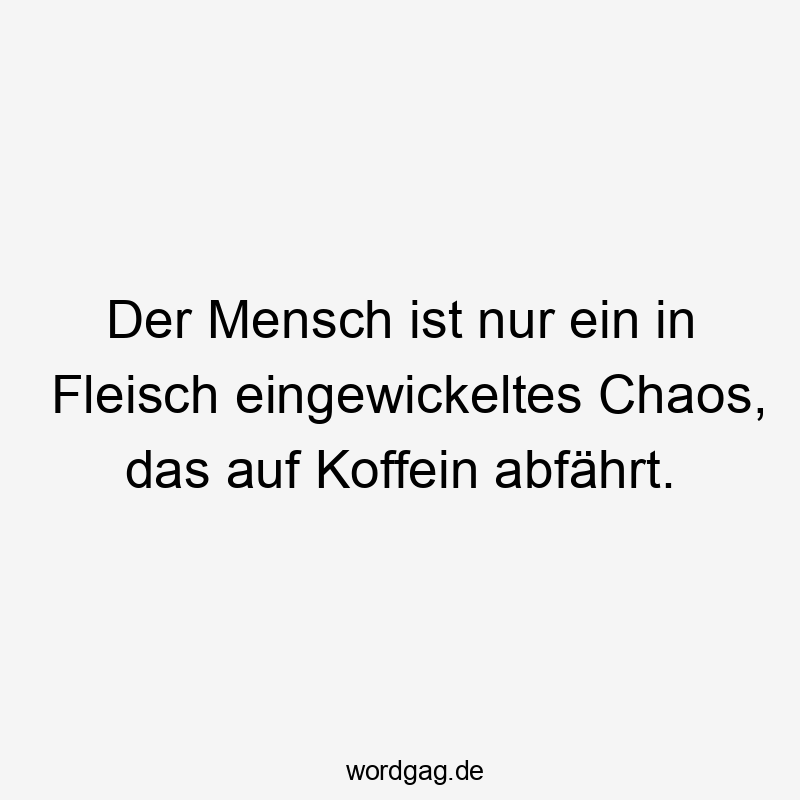 Der Mensch ist nur ein in Fleisch eingewickeltes Chaos, das auf Koffein abfährt.