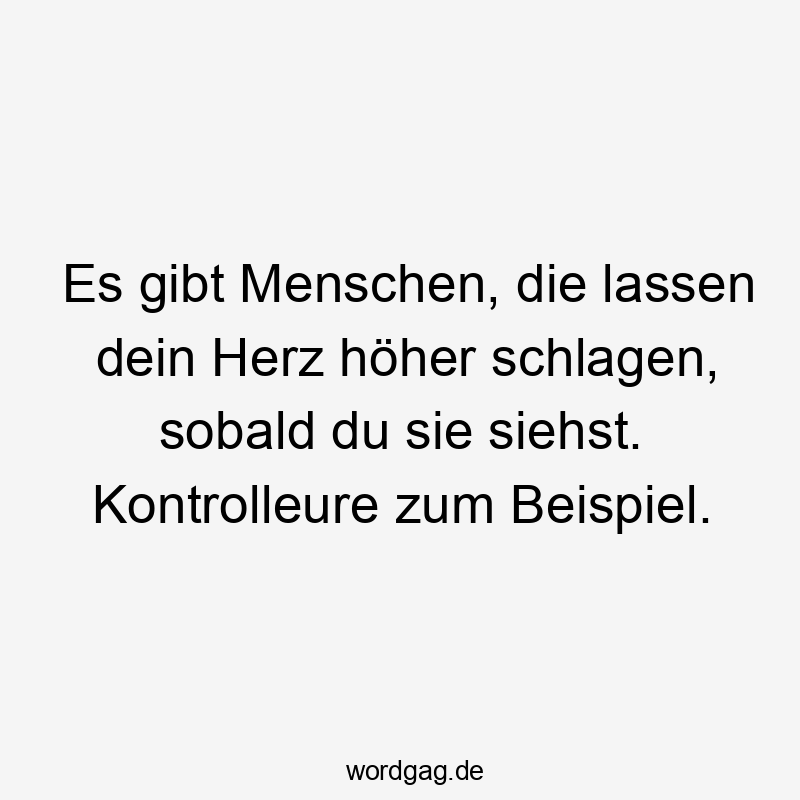 Es gibt Menschen, die lassen dein Herz höher schlagen, sobald du sie siehst. Kontrolleure zum Beispiel.