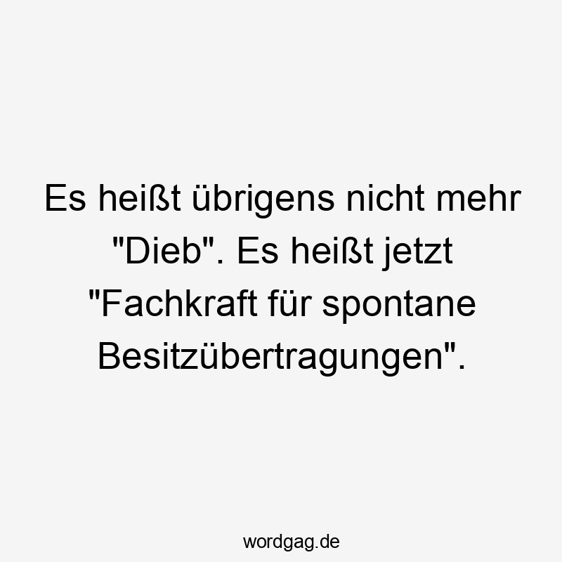 Es heißt übrigens nicht mehr „Dieb“. Es heißt jetzt „Fachkraft für spontane Besitzübertragungen“.