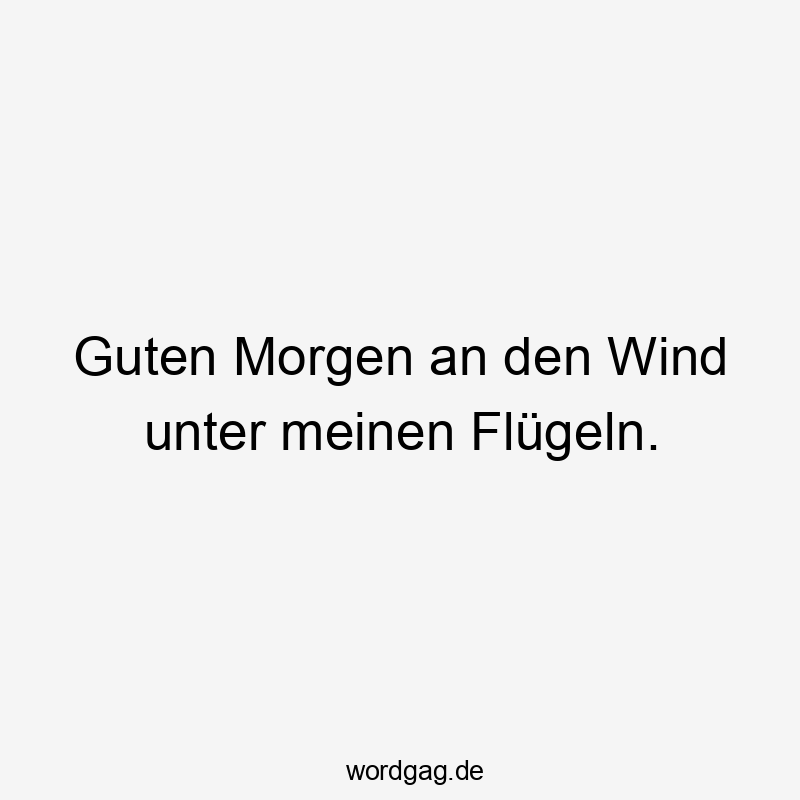 Guten Morgen an den Wind unter meinen Flügeln.