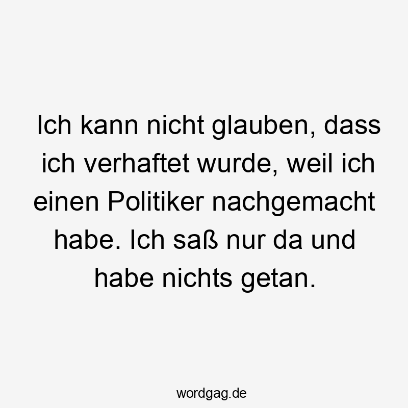 Ich kann nicht glauben, dass ich verhaftet wurde, weil ich einen Politiker nachgemacht habe. Ich saß nur da und habe nichts getan.