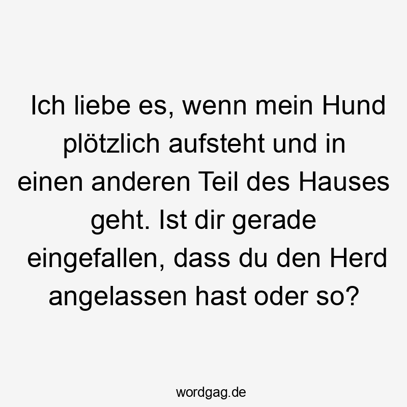 Ich liebe es, wenn mein Hund plötzlich aufsteht und in einen anderen Teil des Hauses geht. Ist dir gerade eingefallen, dass du den Herd angelassen hast oder so?