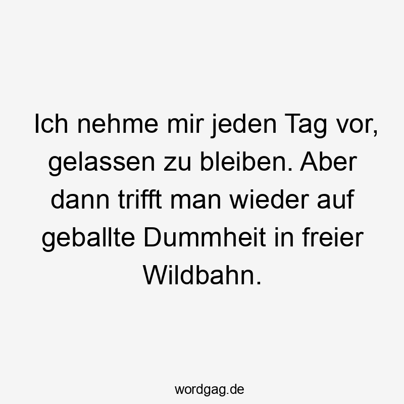 Ich nehme mir jeden Tag vor, gelassen zu bleiben. Aber dann trifft man wieder auf geballte Dummheit in freier Wildbahn.