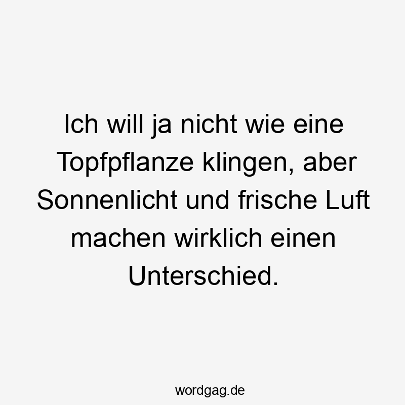 Ich will ja nicht wie eine Topfpflanze klingen, aber Sonnenlicht und frische Luft machen wirklich einen Unterschied.