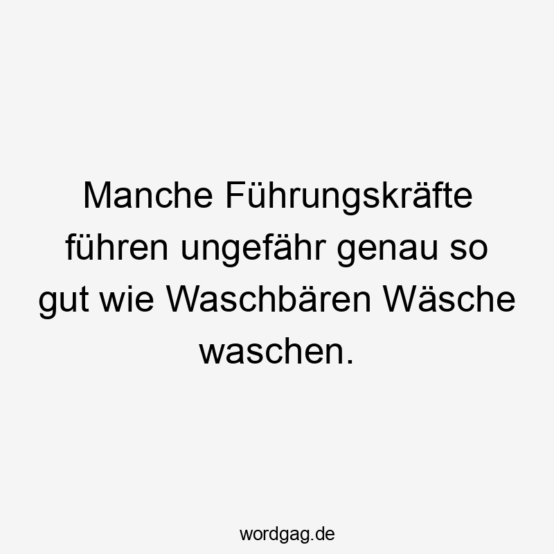 Manche Führungskräfte führen ungefähr genau so gut wie Waschbären Wäsche waschen.