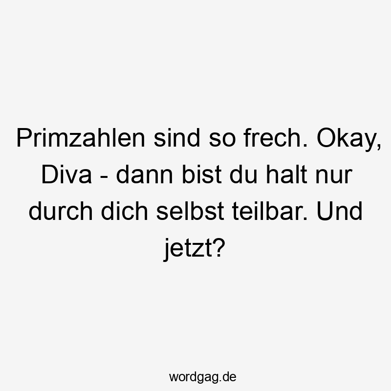 Primzahlen sind so frech. Okay, Diva - dann bist du halt nur durch dich selbst teilbar. Und jetzt?