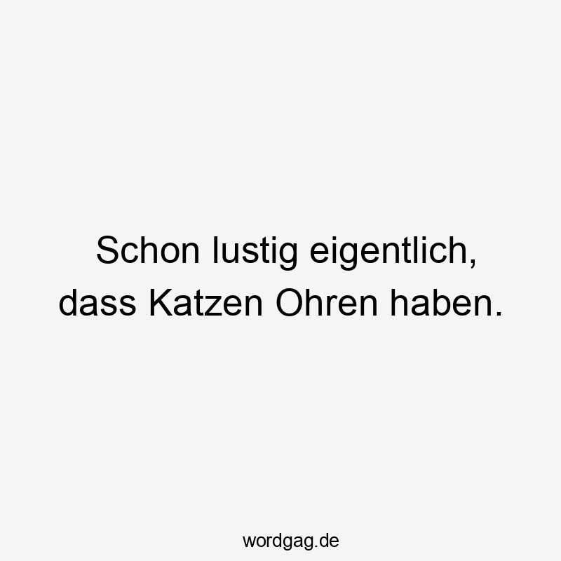 Schon lustig eigentlich, dass Katzen Ohren haben.