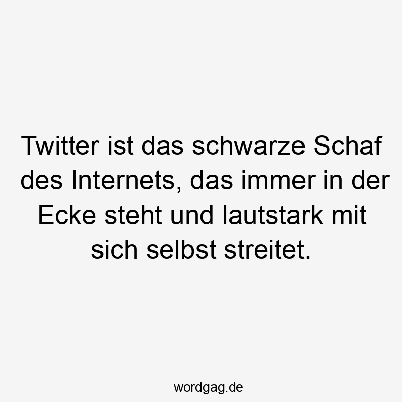 Twitter ist das schwarze Schaf des Internets, das immer in der Ecke steht und lautstark mit sich selbst streitet.