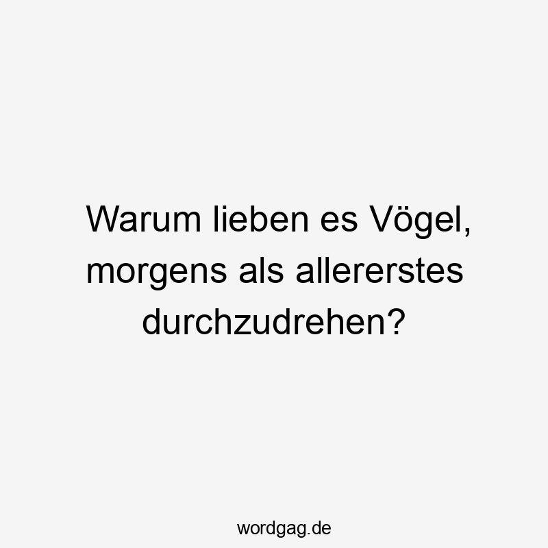 Warum lieben es Vögel, morgens als allererstes durchzudrehen?