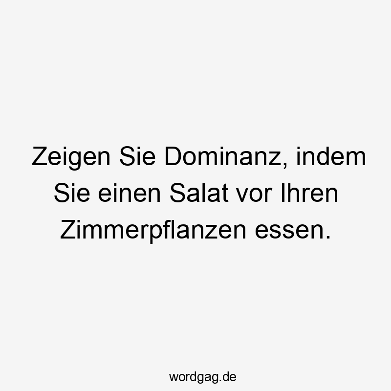 Lustige Sprüche: Essen - Zeigen Sie Dominanz, indem Sie einen Salat vor Ihren Zimmerpflanzen essen.
