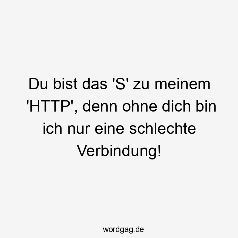 Lustige ohne dich Sprüche - Du bist das ‚S‘ zu meinem ‚HTTP‘, denn ohne dich bin ich nur eine schlechte Verbindung!