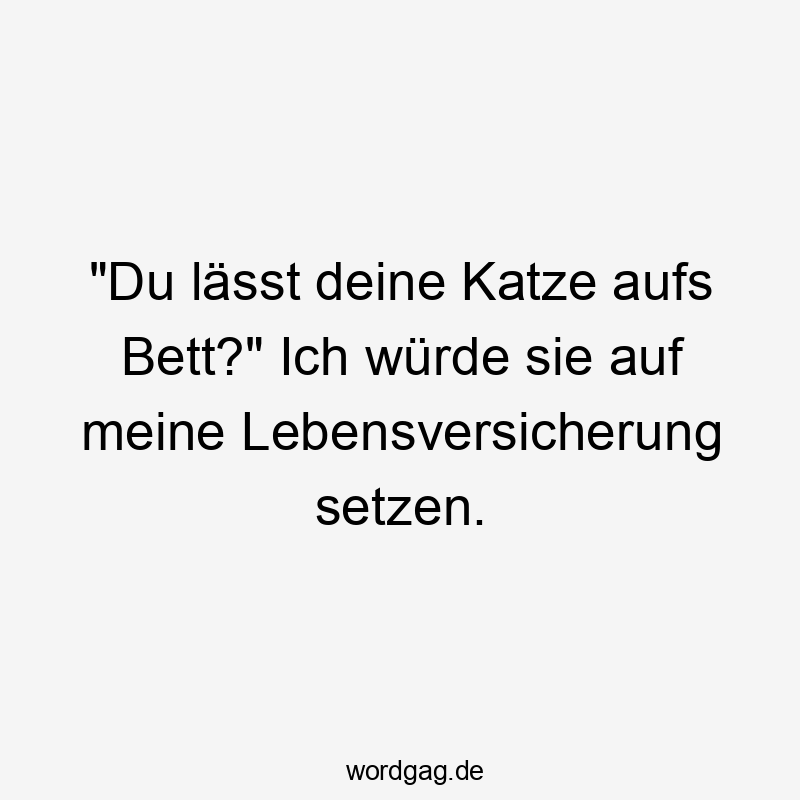 „Du lässt deine Katze aufs Bett?“ Ich würde sie auf meine Lebensversicherung setzen.