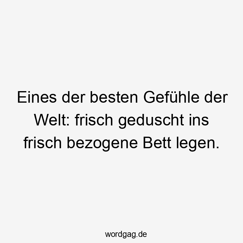 Lustige Sprüche: Welt - Eines der besten Gefühle der Welt: frisch geduscht ins frisch bezogene Bett legen.
