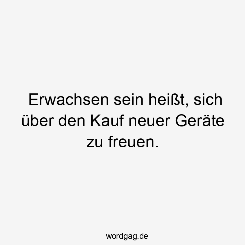 Erwachsen sein heißt, sich über den Kauf neuer Geräte zu freuen.