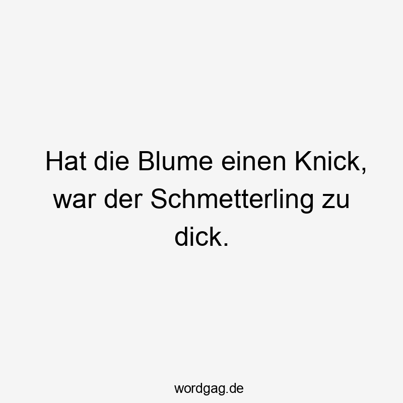 Hat die Blume einen Knick, war der Schmetterling zu dick.