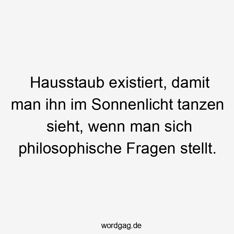 Lustige Sprüche: Fragen - Hausstaub existiert, damit man ihn im Sonnenlicht tanzen sieht, wenn man sich philosophische Fragen stellt.