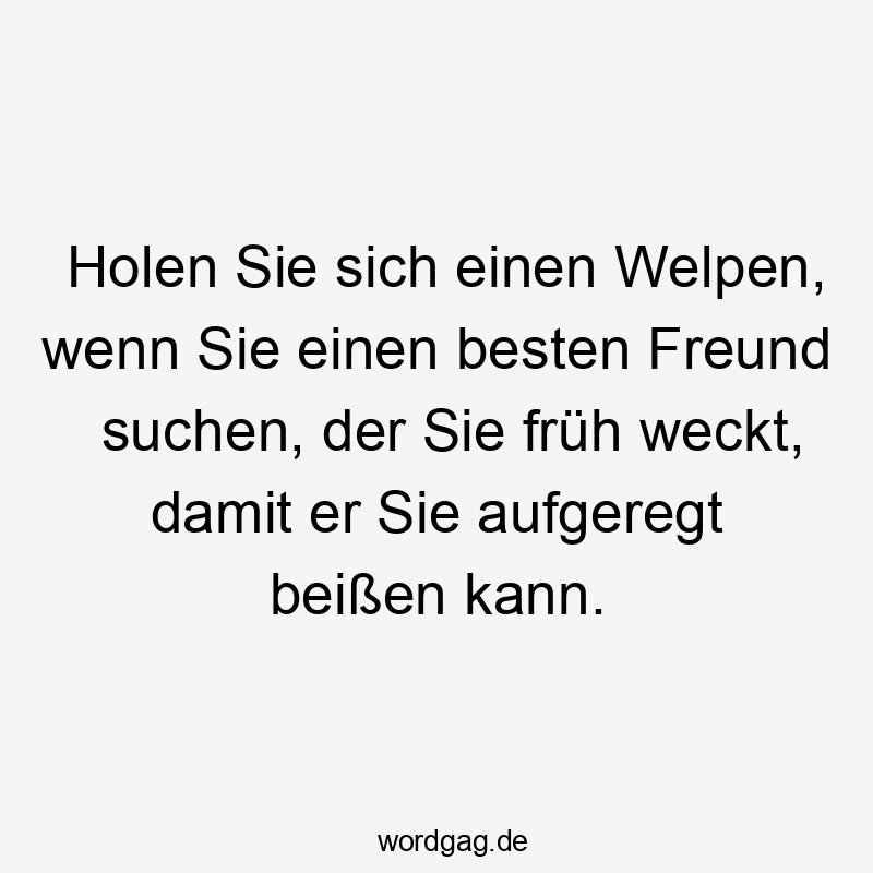 Lustige Sprüche: besten - Holen Sie sich einen Welpen, wenn Sie einen besten Freund suchen, der Sie früh weckt, damit er Sie aufgeregt beißen kann.