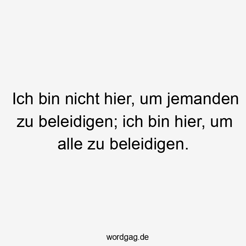 Lustige Sprüche: Selbstironie - Ich bin nicht hier, um jemanden zu beleidigen; ich bin hier, um alle zu beleidigen.