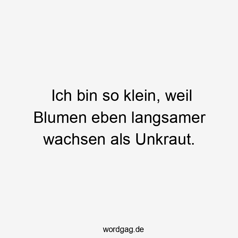 Lustige Unkraut Sprüche - Ich bin so klein, weil Blumen eben langsamer wachsen als Unkraut.