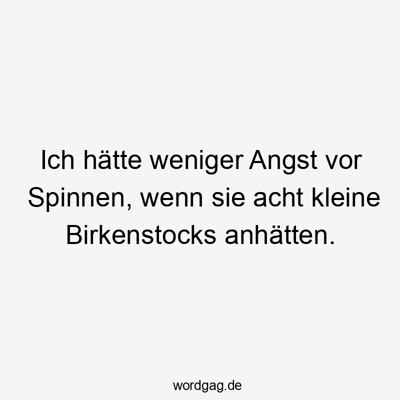 Ich hätte weniger Angst vor Spinnen, wenn sie acht kleine Birkenstocks anhätten.
