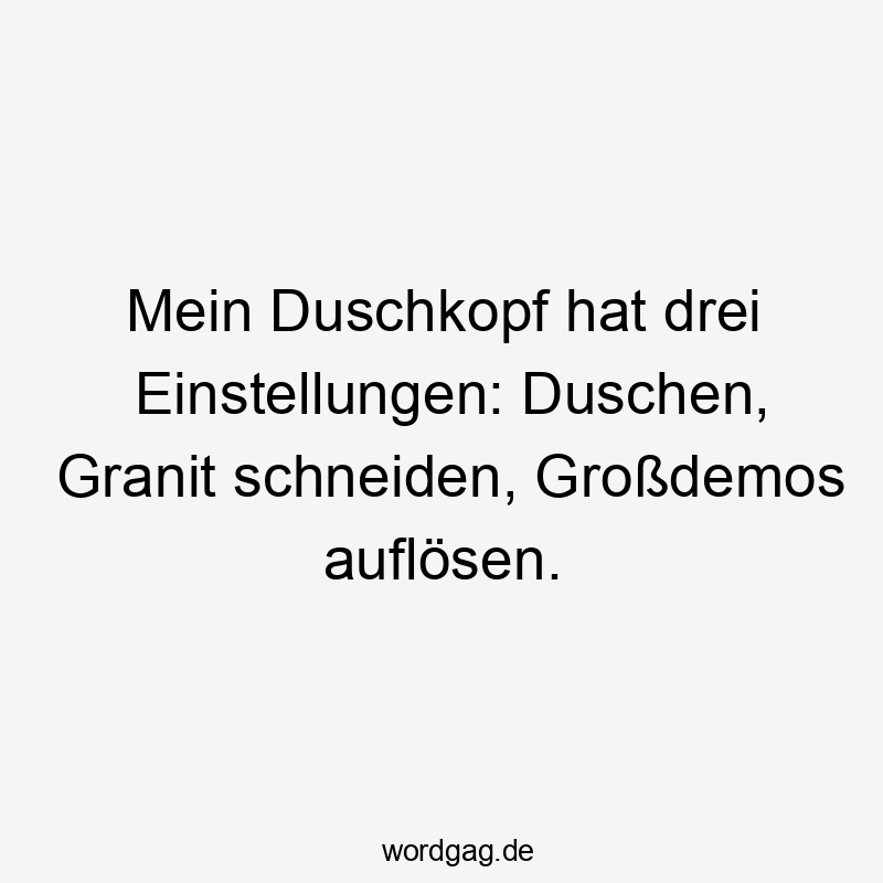 Mein Duschkopf hat drei Einstellungen: Duschen, Granit schneiden, Großdemos auflösen.