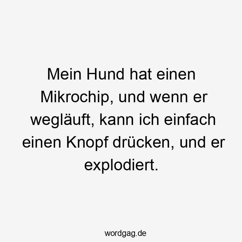 Mein Hund hat einen Mikrochip, und wenn er wegläuft, kann ich einfach einen Knopf drücken, und er explodiert.