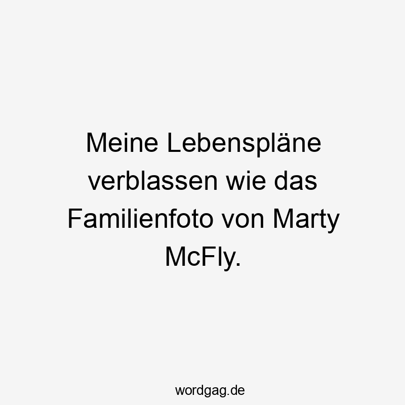 Lustige Sprüche: Erinnerung - Meine Lebenspläne verblassen wie das Familienfoto von Marty McFly.