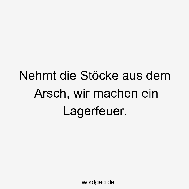 Lustige Lagerfeuer Sprüche - Nehmt die Stöcke aus dem Arsch, wir machen ein Lagerfeuer.